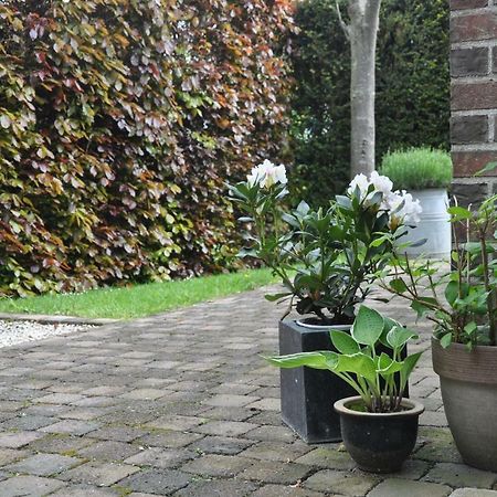 B&B De Logeur Asse Extérieur photo